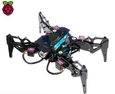 挑戰(zhàn)樹莓派 RISC-V 微型計算機 PicoRio 發(fā)布與計算機軟硬件技術(shù)開發(fā)前瞻