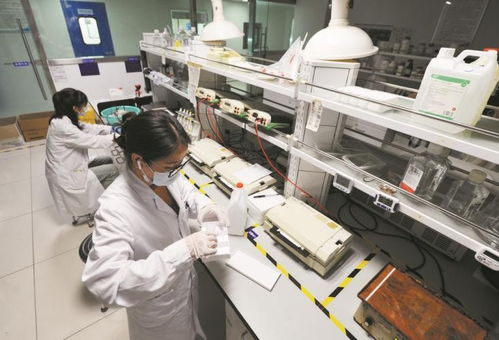 以嶺藥業 科技賦能，引領中藥現代化新篇章